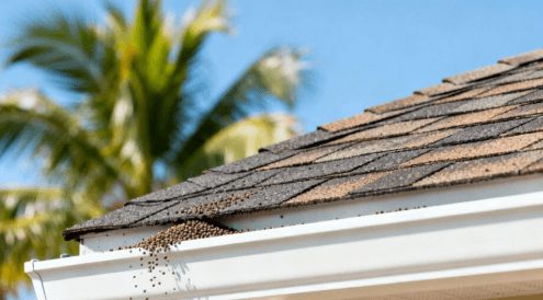 Cracked, Curling, and Buckling Shingles Quietly Undermine the Whole&hellip;